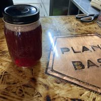 Elderberry 16 0z kombucha  at Plant Base in Jersey City
