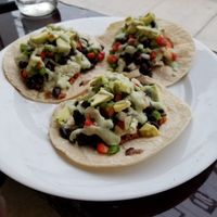 Bex Mex Tacos with Cilantro Lime Sauce at Plant Base in Jersey City