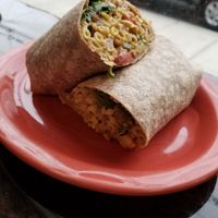 Zak Wrap at Plant Base in Jersey City