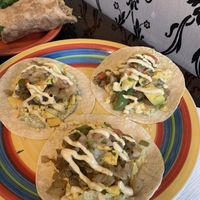 tacos at Plant Base in Jersey City