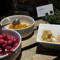 Humus, tomatoes and radish at Scandic City in Bergen