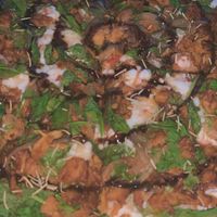 I think we got the vegan sausage but we ate here like a year ago so I forget  at New Ethic in Rochester