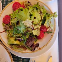  at Dalmatino in Dubrovnik