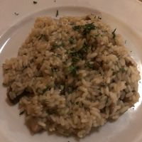 Risotto with funghi at La Grotta Di Leo in Florence