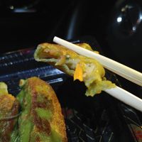 Gyoza pan fried at Itto Ramen - Haywood Rd in Asheville