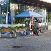 Local flowers at Larry's Market in North Vancouver