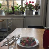 Cosy 🌱🌸 at Lovage Project in South West London