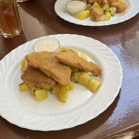 Schnizel and champions (fried mushrooms)  at Landia in Vienna