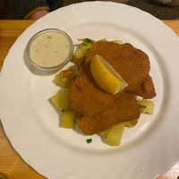 seitan schnitzel at Landia in Vienna