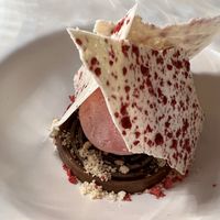 Raspberry gelato with chocolate🍧🍫   at Fvsion in Cortina D Ampezzo