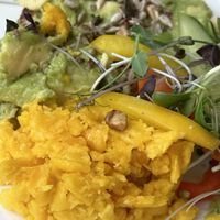 Vegan scrambled egg and avocado was delicious  at Ludwigs in Tubingen