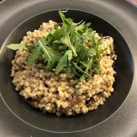 Mushroom barley risotto at Arresten in Andenes