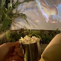 Cinema  at Secret Spot - Canggu in Canggu