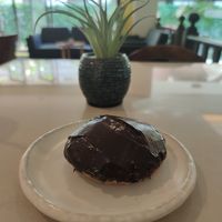Boston Cream vegan donut (my favorite) at The Donut Cafe in Chiang Mai