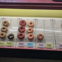  at The Donut Cafe in Chiang Mai