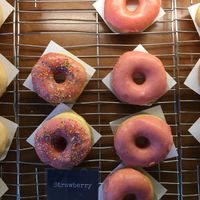 Fun at The Donut Cafe in Chiang Mai