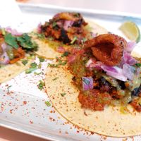 ''Al Pastor'' taco in Seven Dials at Club Mexicana - Seven Dials in London