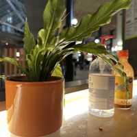 decoration  at Club Mexicana - Seven Dials in London