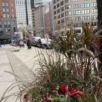 Street view  at Dessert Oasis Coffee Roasters in Detroit