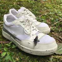 Sneakers TBS RE SOURCE  at Vegan Shoes Italy in Cittadella