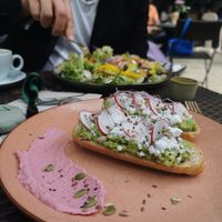  at Bluebirds in the Backyard in Dordrecht