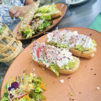  at Bluebirds in the Backyard in Dordrecht