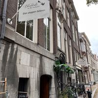 Bluebirds  at Bluebirds in the Backyard in Dordrecht