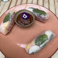   at Bluebirds in the Backyard in Dordrecht