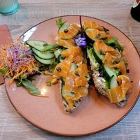  at Bluebirds in the Backyard in Dordrecht