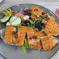  at Bluebirds in the Backyard in Dordrecht