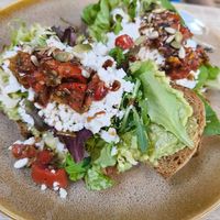  at Bluebirds in the Backyard in Dordrecht