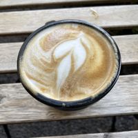   at Café Vegetal in Mexico City