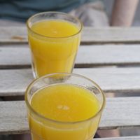   at Café Vegetal in Mexico City