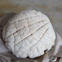   at Café Vegetal in Mexico City