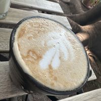   at Café Vegetal in Mexico City