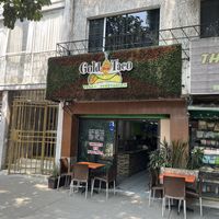   at Gold Taco in Mexico City