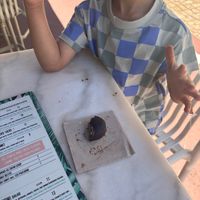   at Sugar Rabbit Kaffé in Albufeira