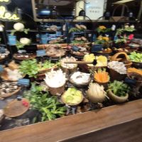 Mushrooms for the hotpot at Yangege 焱格格蔬食料理火锅 in Shanghai