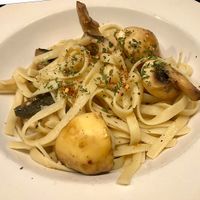 Fettuccine Funghi  at Girasole Ristorante in Hermosillo