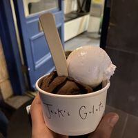 dark chocolate and sea salt , coconut at Jack's Gelato in Cambridge