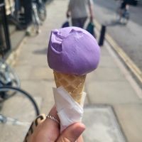 coconut ube  at Jack's Gelato in Cambridge
