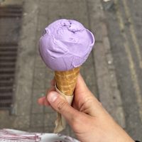 Coconut and ube  at Jack's Gelato in Cambridge