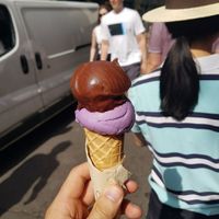 Coconut ube (purple) 7/10 chocolate(brown)? 6.5/10 at Jack's Gelato in Cambridge