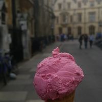 Hibiscus sorbet (vegan) at Jack's Gelato in Cambridge