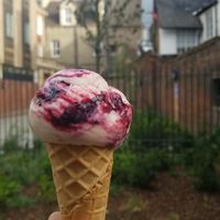Peanut and blackcurrant gelato (Vegan) at Jack's Gelato in Cambridge