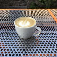 🌱☕️ at Tourist Home - All Day Cafe in Flagstaff