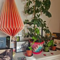  at Glass Onion in Liverpool