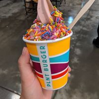 Chocolate and Strawberry oat milk soft serve at PLNT Burger in Silver Spring