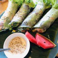 Vegetable spring rolls with tofu  of choice  at Mr Green in Chiang Mai