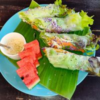 Raw Spring Rolls at Mr Green in Chiang Mai